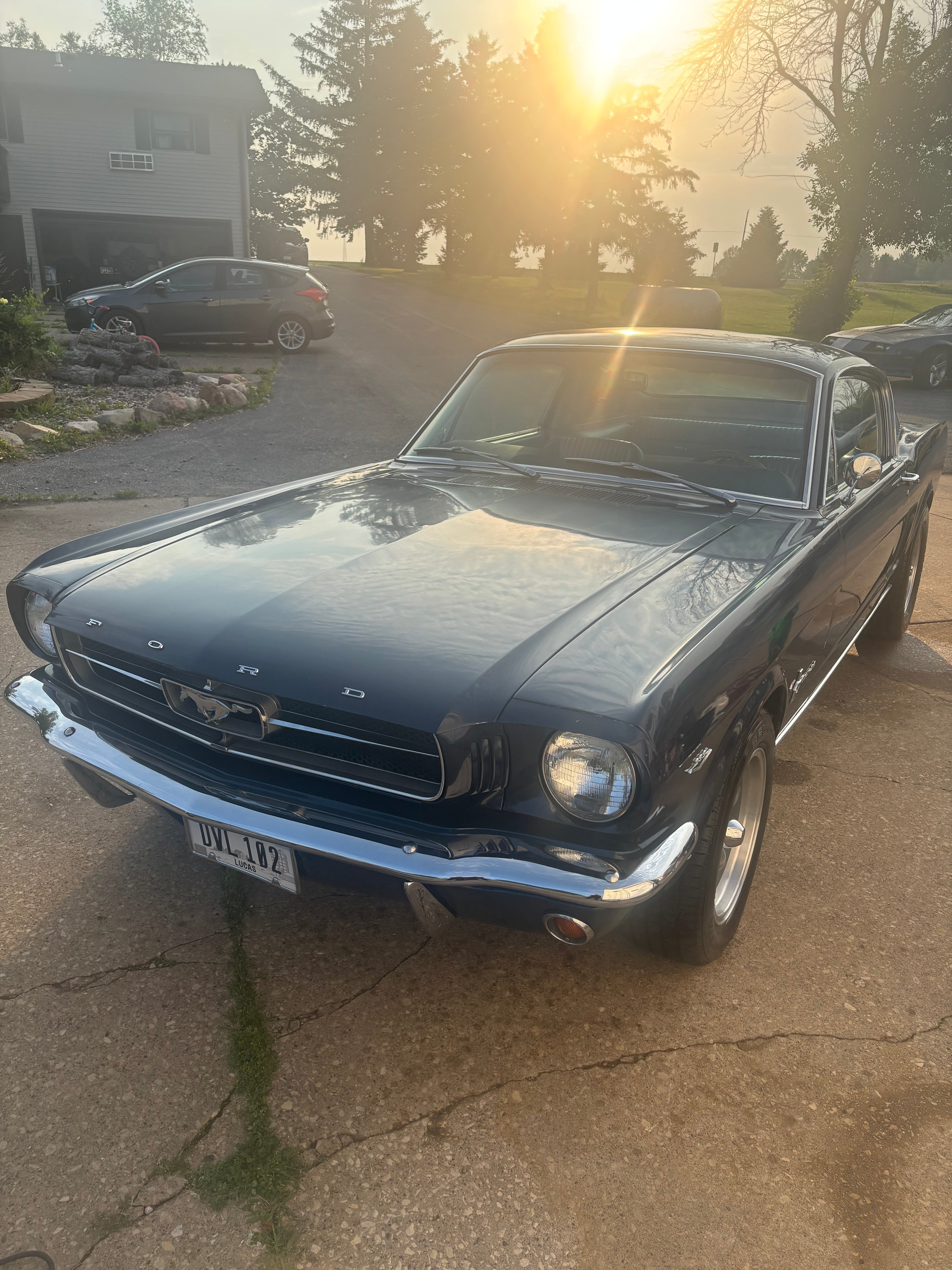 1965 Ford Mustang Fastback Blue Vintage Car